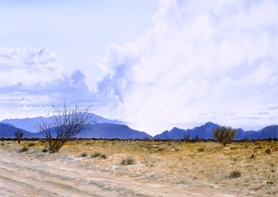 Desert Rainstorm Baja